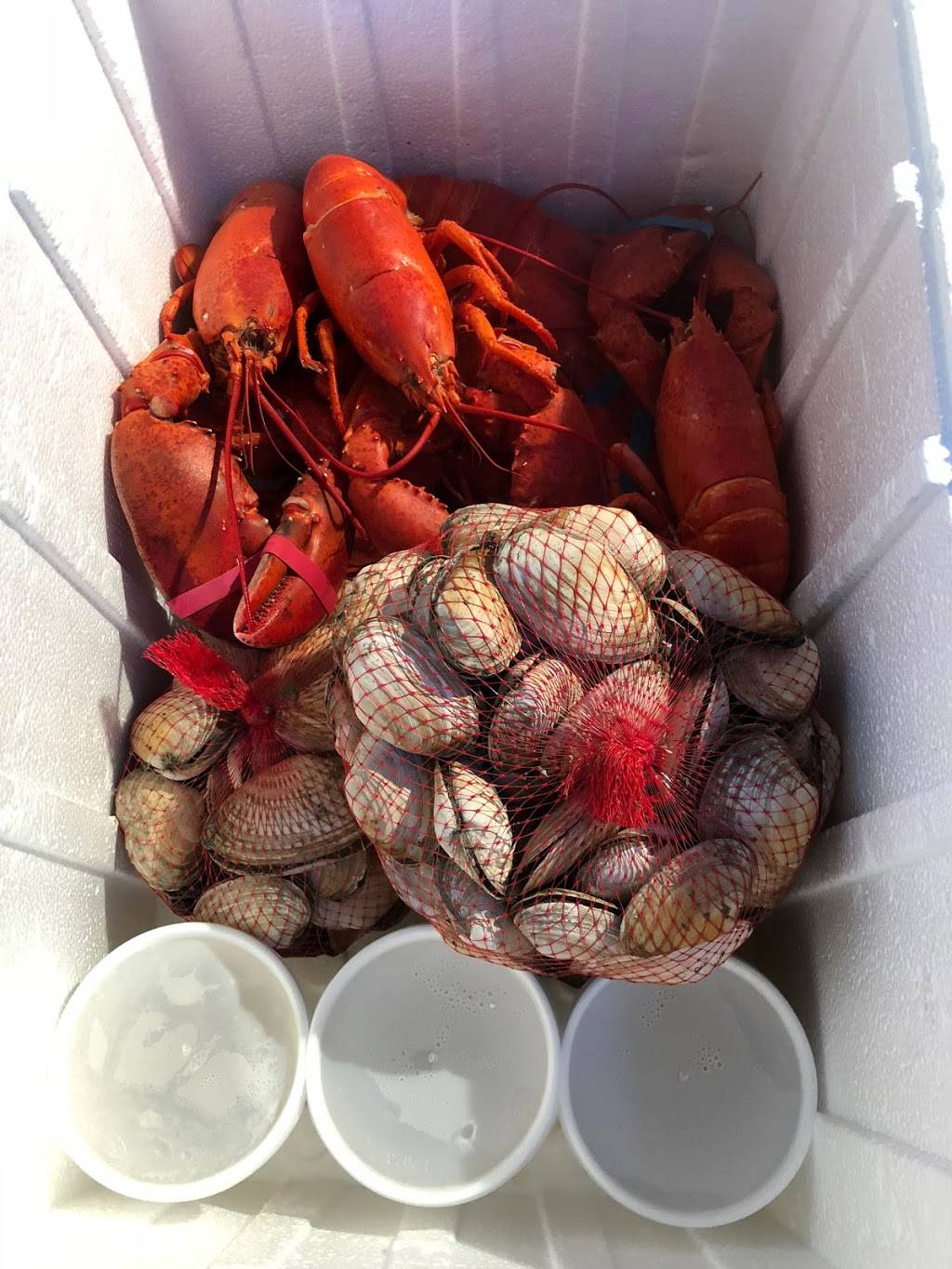 Docks Boathouse | meal takeaway | 472 Elm St, Biddeford, ME 04005, USA | 2072861600 OR +1 207-286-1600