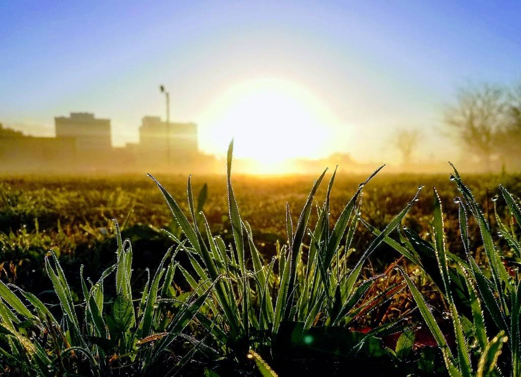 Cafe Hope | restaurant | 1 Timberlane Dr, Gretna, LA 70056, USA | 5043092065 OR +1 504-309-2065