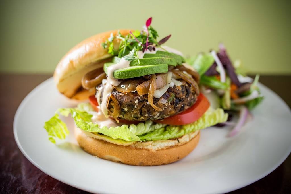 Savanna Restaurant | restaurant | 4111 N Lincoln Ave, Chicago, IL 60618, USA | 8728177340 OR +1 872-817-7340