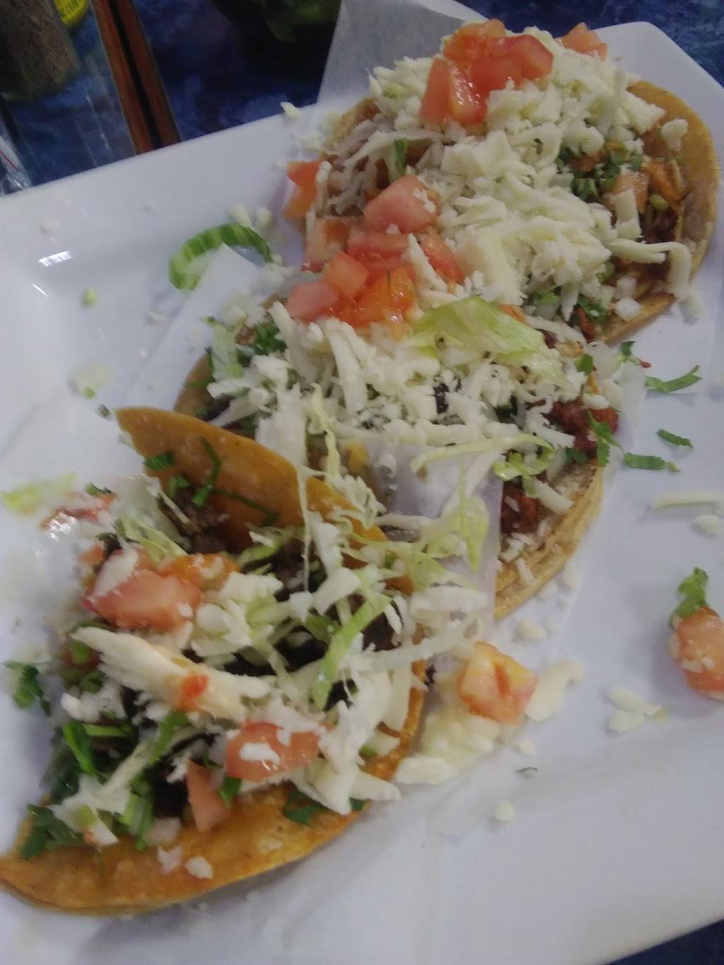 Guacamole Restaurant | restaurant | 15275 W 101st Ave, Dyer, IN 46311, USA | 2193653925 OR +1 219-365-3925