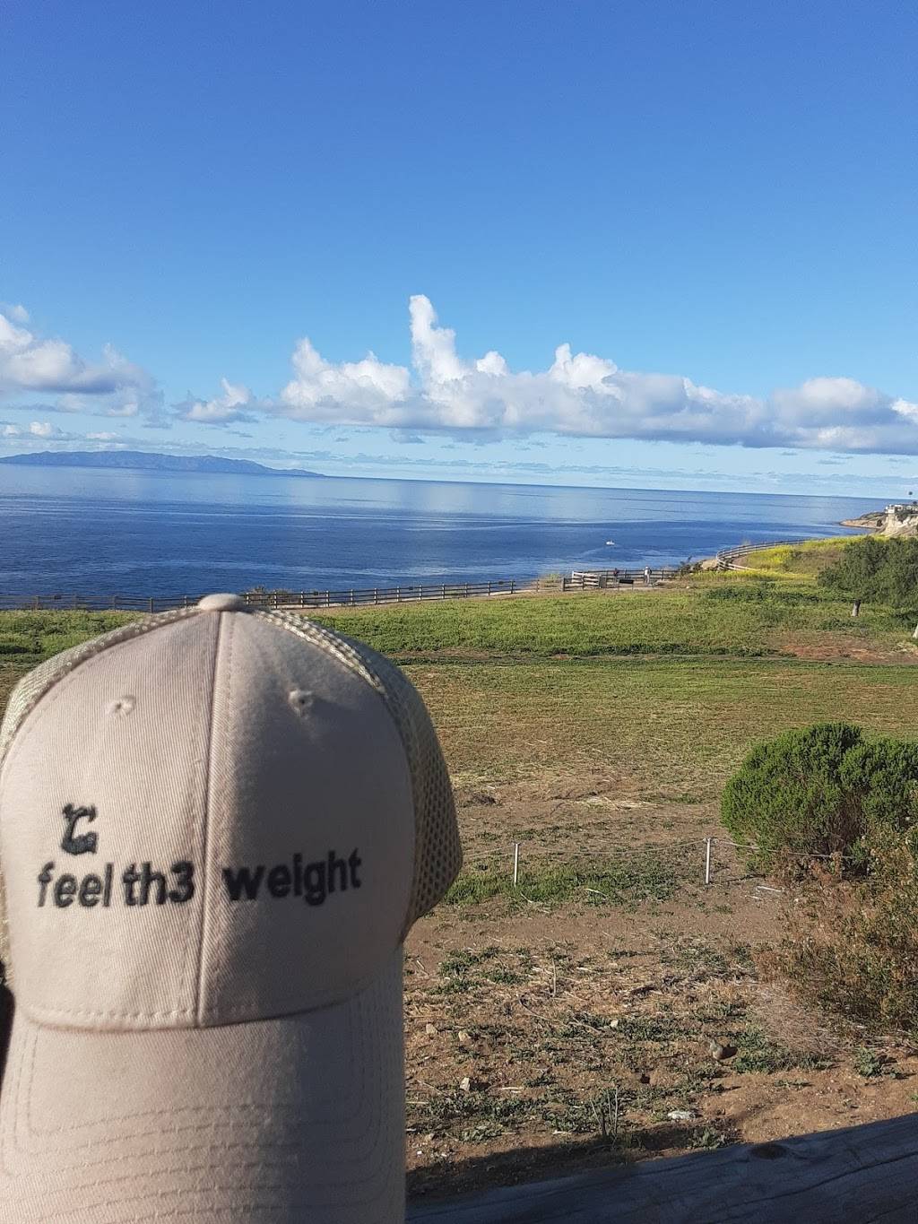 In-N-Out Burger | restaurant | 2200 S Central Ave, Compton, CA 90220, USA | 8007861000 OR +1 800-786-1000