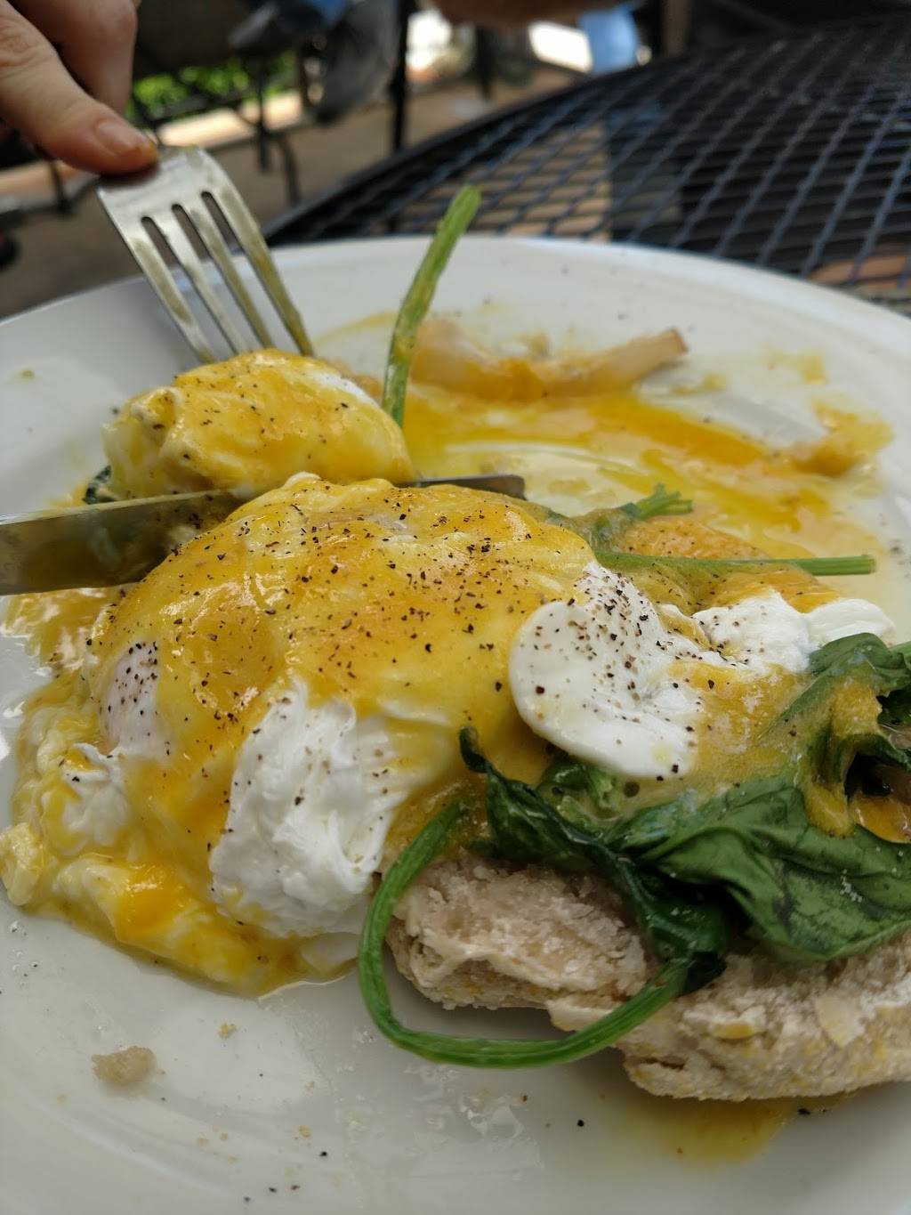 The Sage Rabbit | restaurant | 438 S Ashland Ave, Lexington, KY 40502, USA | 8595232095 OR +1 859-523-2095