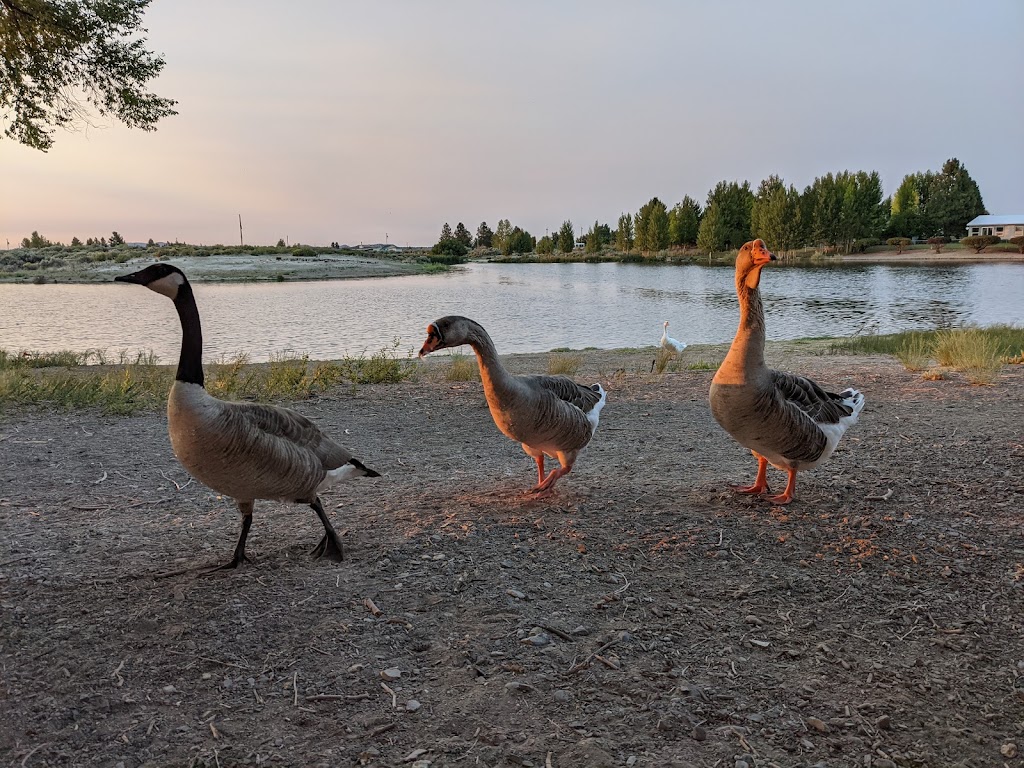 Lakeside Restaurant, Motel & RV Park | restaurant | 87275 County Hwy 9-28, Christmas Valley, OR 97641, USA | 5415762309 OR +1 541-576-2309