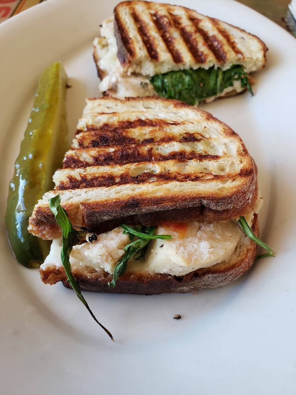 Volunteer Park Cafe | restaurant | 1501 17th Ave E, Seattle, WA 98112, USA | 2063283155 OR +1 206-328-3155