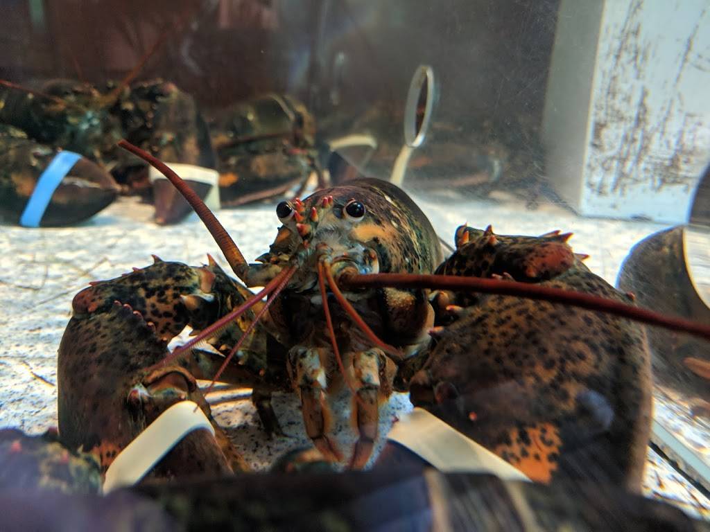 Red Lobster | restaurant | 5774 N Wayne Rd, Westland, MI 48185, USA | 7343267655 OR +1 734-326-7655