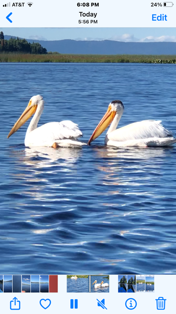 Rocky Point Resort | restaurant | 28121 Rocky Point Rd, Klamath Falls, OR 97601, USA | 5413562287 OR +1 541-356-2287