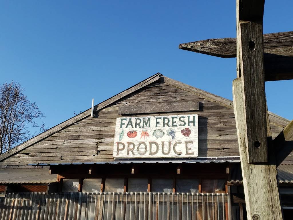 Snow Goose Produce Mt. Vernon | restaurant | 15302 Fir Island Rd, Mt Vernon, WA 98273, USA | 3604456908 OR +1 360-445-6908