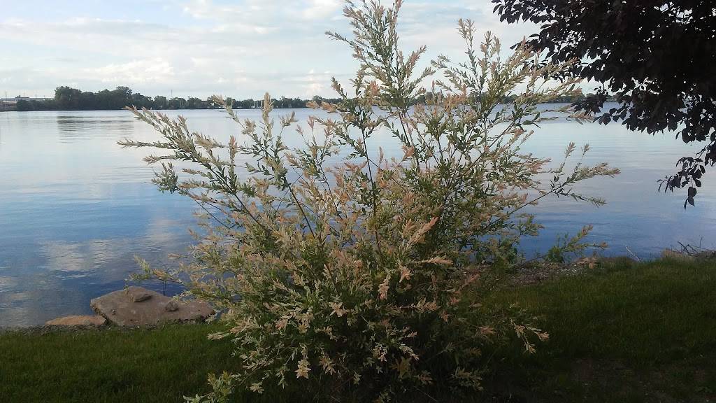 South Side Ice Yacht Club | restaurant | 1842 S Main St, Oshkosh, WI 54902, USA | 9202354470 OR +1 920-235-4470