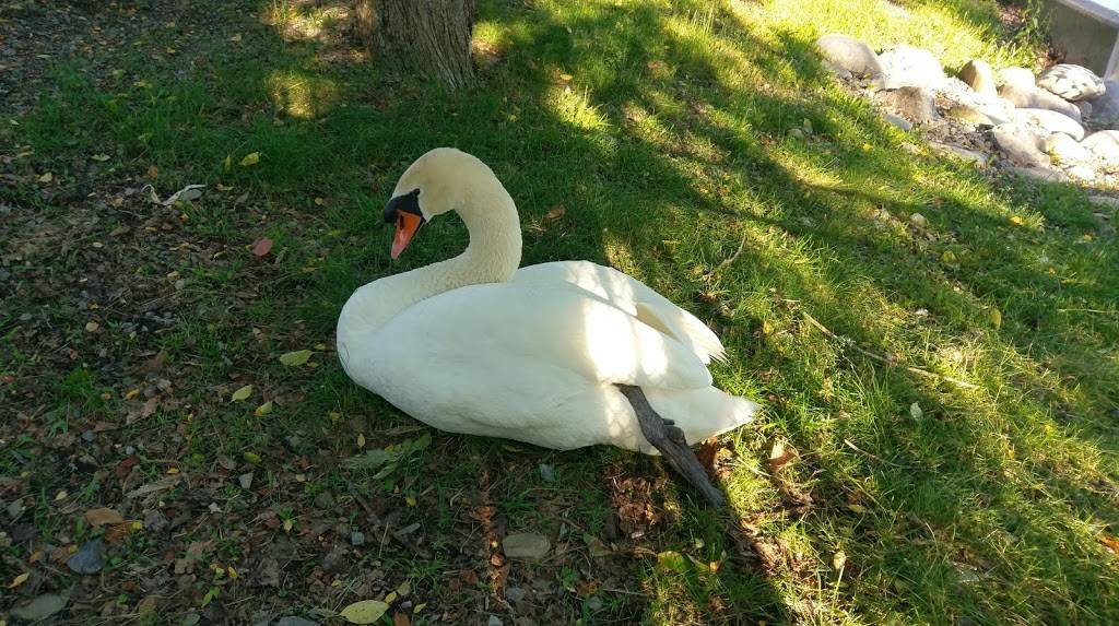 Scenic Root | restaurant | 301 Fayette St, Manlius, NY 13104, USA | 3156823000 OR +1 315-682-3000