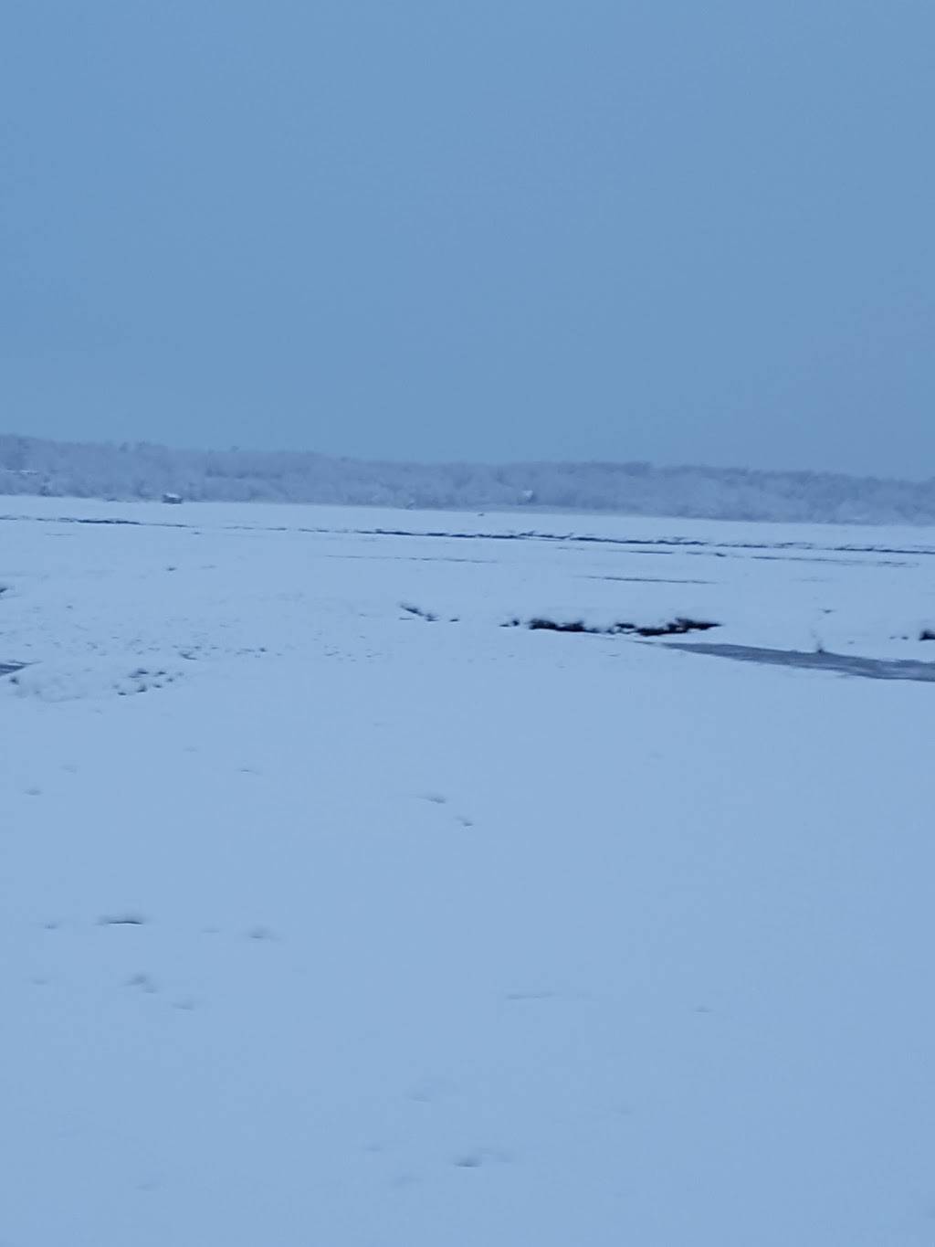 Me & Ds Diner | restaurant | 1517 Post Rd, Wells, ME 04090, USA | 2076465775 OR +1 207-646-5775