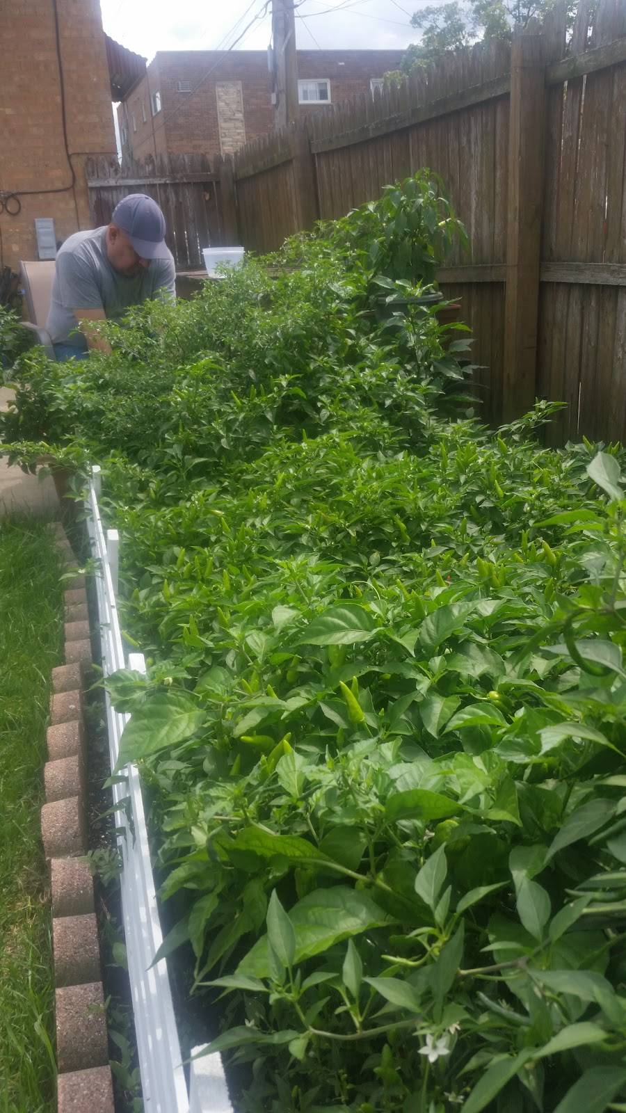 Mi Patron Mexican Restaurant | restaurant | 5800 W 35th St, Cicero, IL 60804, USA | 7085374323 OR +1 708-537-4323