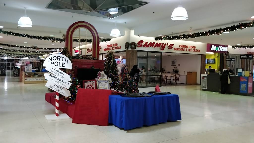 Sammys Chinese & Burgers | restaurant | 1151 Dundas St W, Mississauga, ON L5C 1C6, Canada | 9052778772 OR +1 905-277-8772