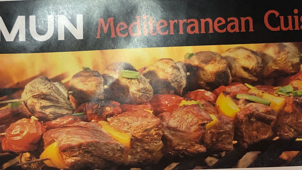 Amun Restaurant | restaurant | 693 B Burmont Rd, Drexel Hill, PA 19026, USA | 6102840272 OR +1 610-284-0272