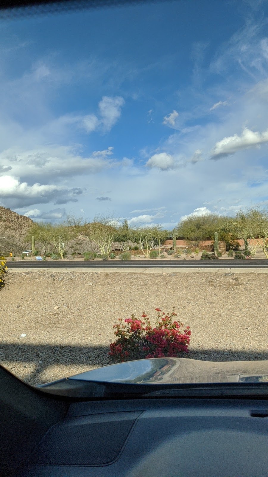 Starbucks | cafe | 3165 E Lincoln Dr, Phoenix, AZ 85016, USA | 6029562394 OR +1 602-956-2394