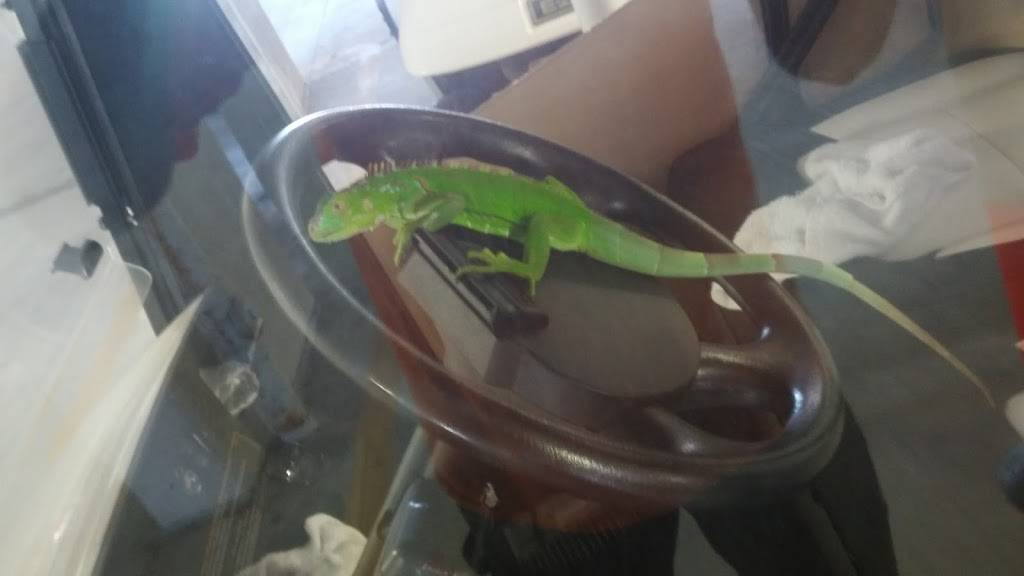 Café Promenade | restaurant | 14990 Shell Point Blvd, Fort Myers, FL 33908, USA | 2394542060 OR +1 239-454-2060