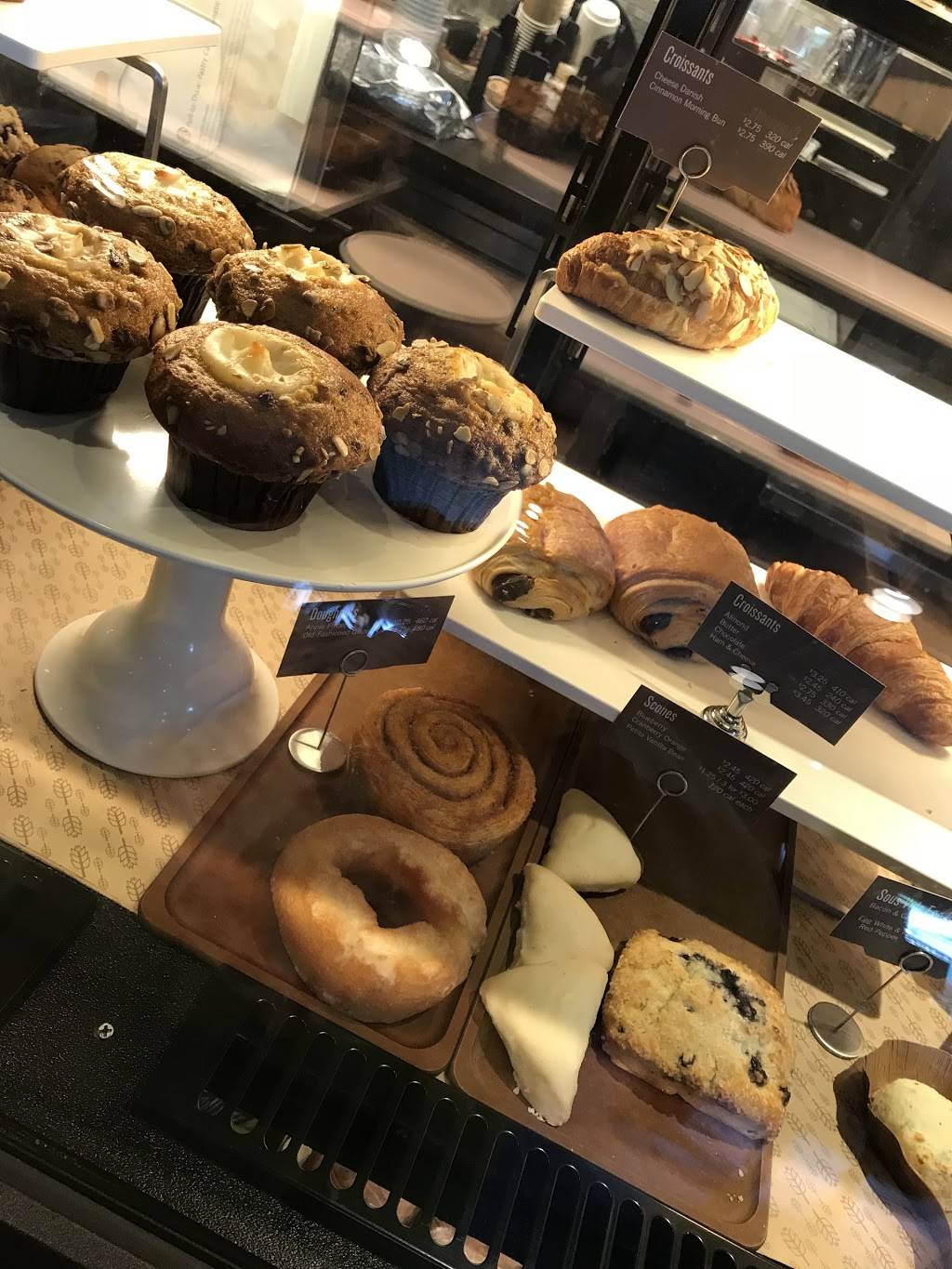 Starbucks | cafe | 287 E Indiantown Rd B-10, Jupiter, FL 33477, USA | 5617414225 OR +1 561-741-4225