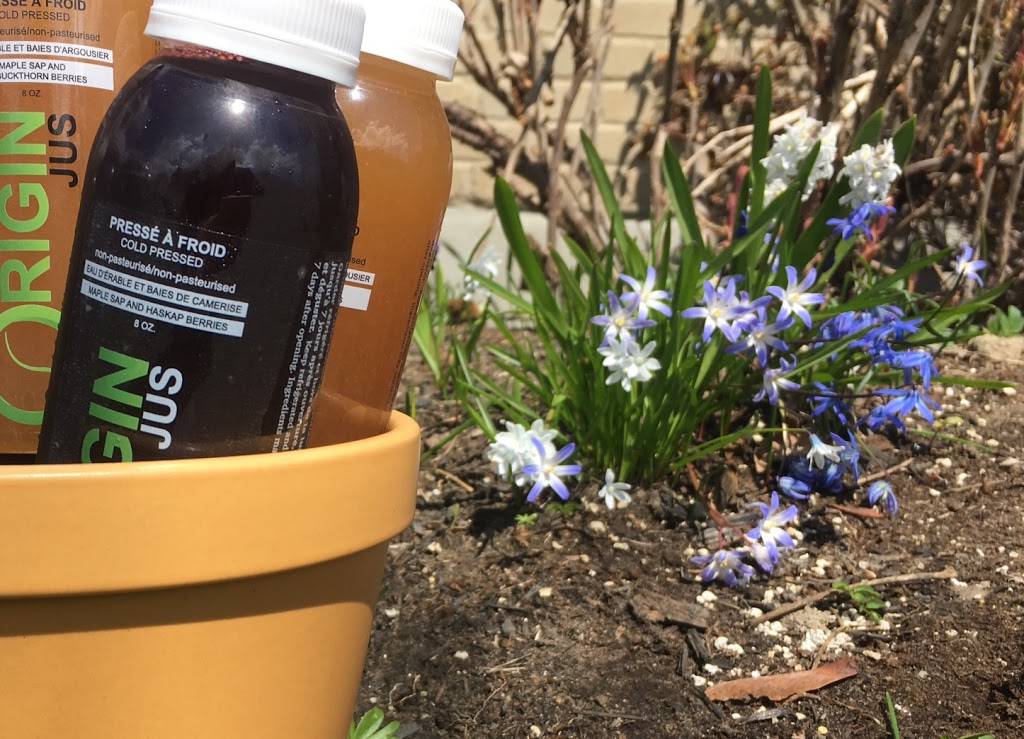 Restaurant La vie La vie comptoir santé | restaurant | 438 Avenue Saint-Simon, Saint-Hyacinthe, QC J2S 5C2, Canada | 4502527778 OR +1 450-252-7778