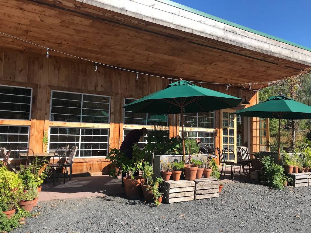Blooming Hill Farm | restaurant | 1251 NY-208, Monroe, NY 10950, USA | 8452385004 OR +1 845-238-5004