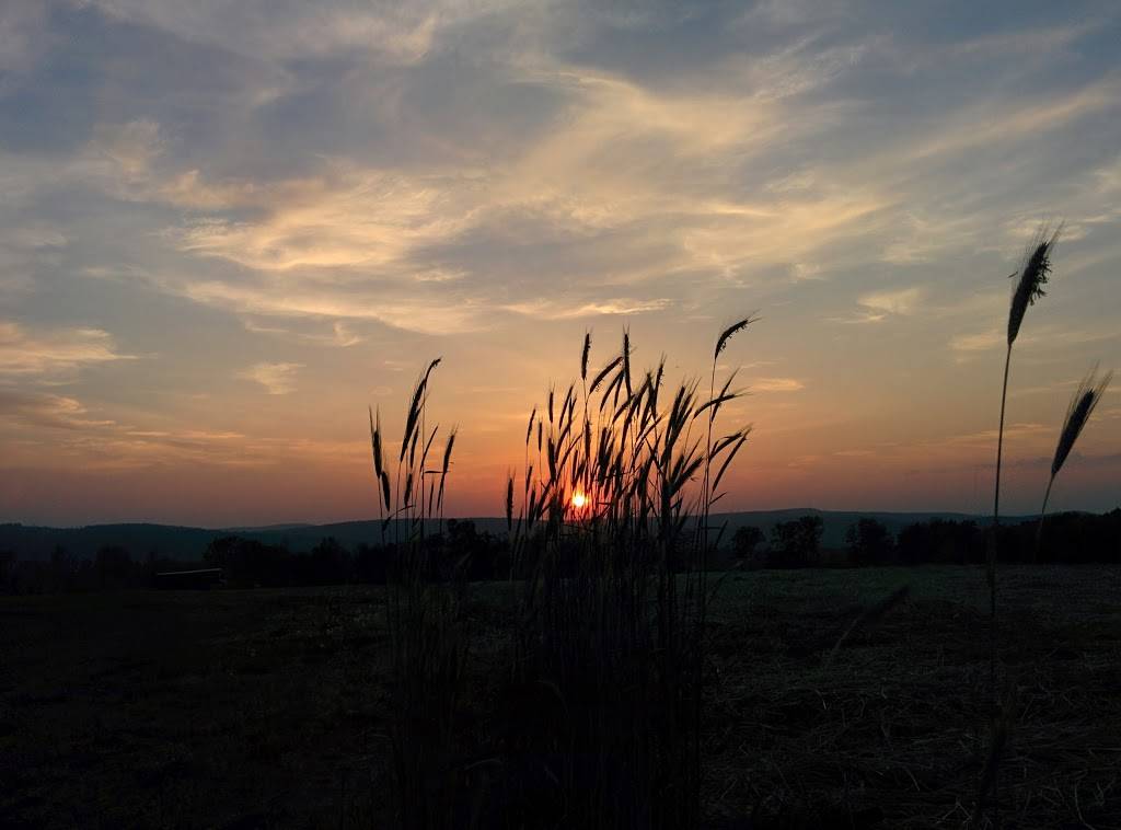 Westview Farms Creamery | restaurant | 111 E Hill Rd, Monson, MA 01057, USA | 4132675355 OR +1 413-267-5355