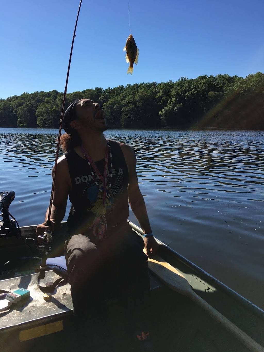 CAVA | restaurant | 7991 Tuckerman Ln, Potomac, MD 20854, USA | 3012005398 OR +1 301-200-5398