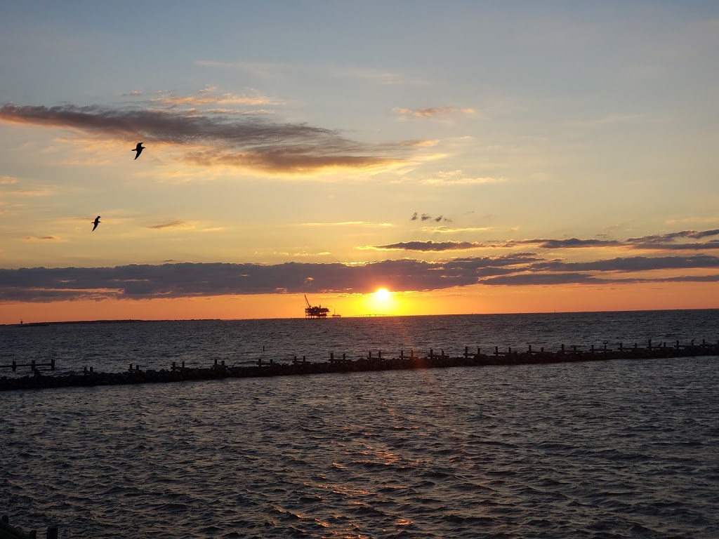 Tacky Jacks Fort Morgan | restaurant | 1577 AL-180, Gulf Shores, AL 36542, USA | 2519688341 OR +1 251-968-8341