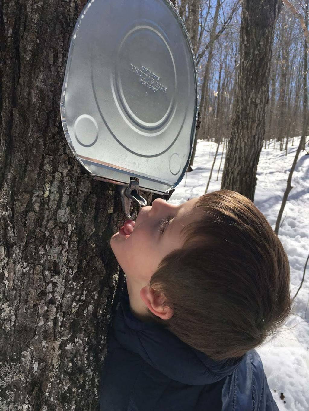 710 Excursions | restaurant | 710 Rte 366, Ladysmith, QC J0X 2A0, Canada | 8196472724 OR +1 819-647-2724