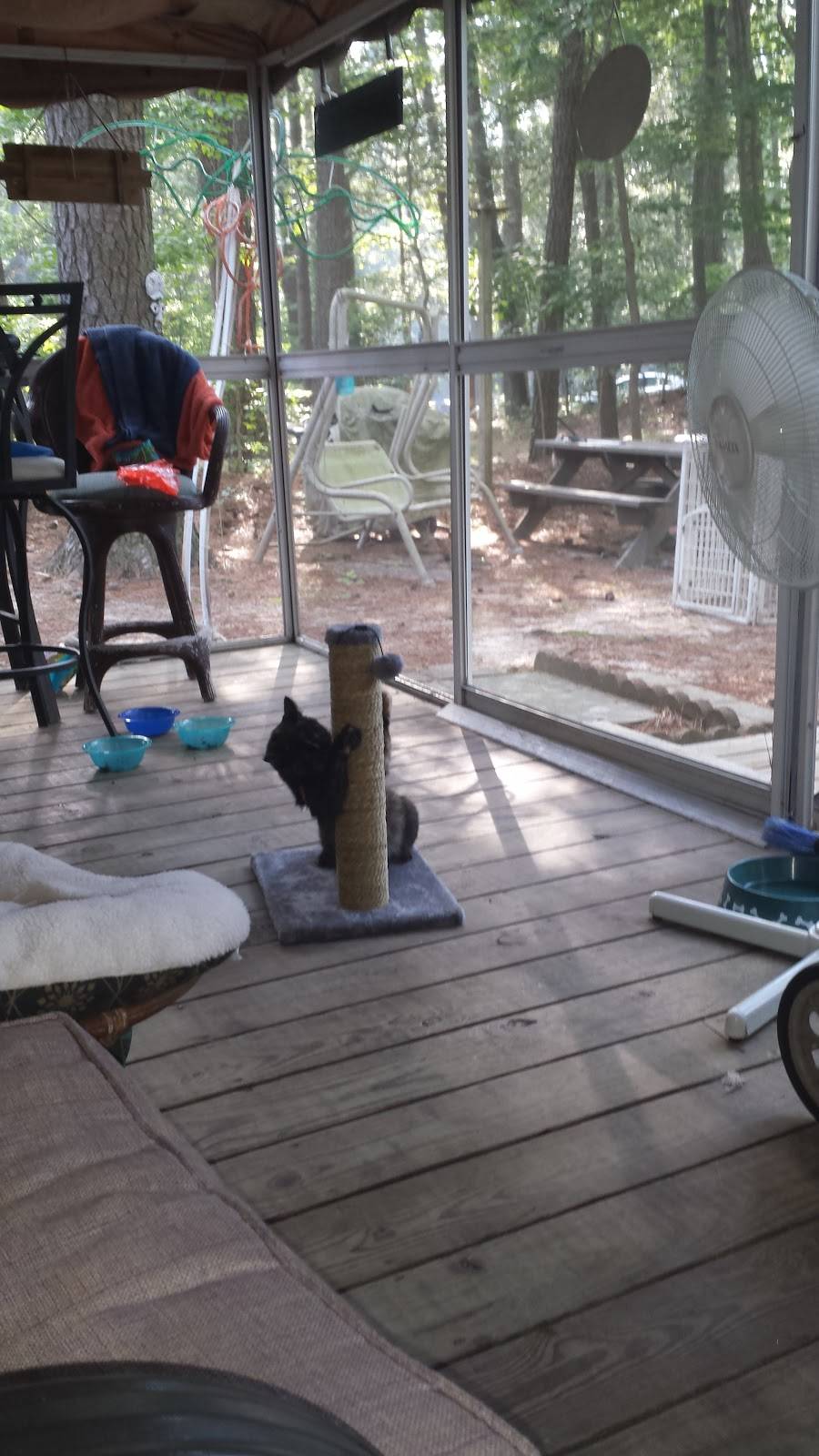 Holly Lake Campsites | restaurant | 32087 Holly Lake Rd, Millsboro, DE 19966, USA | 3029453410 OR +1 302-945-3410