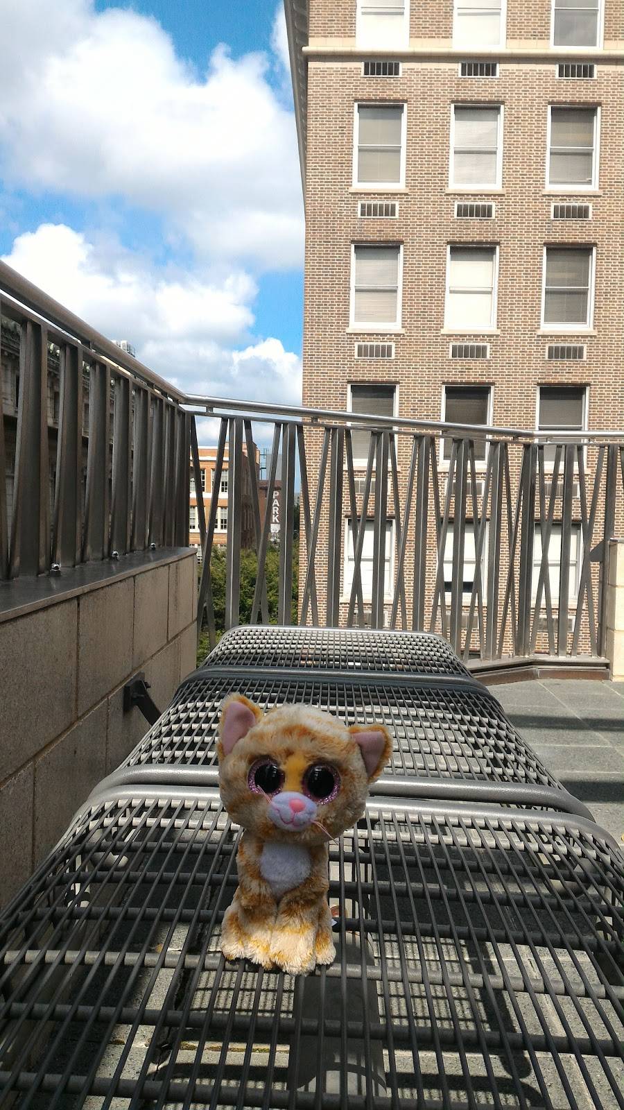 Rosas Pizza | restaurant | 62 Broad St NW, Atlanta, GA 30303, USA | 4045212596 OR +1 404-521-2596