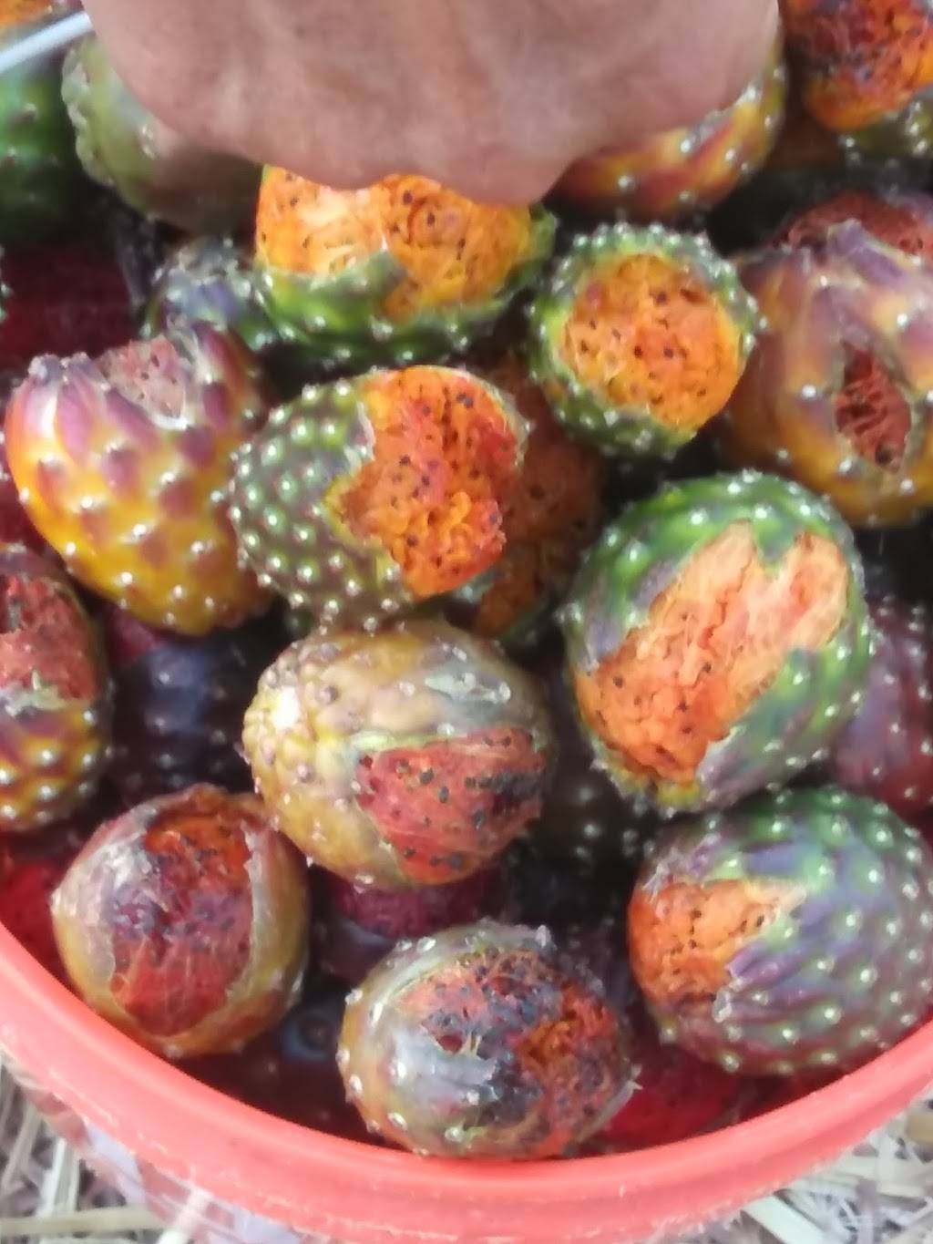 Marias Restaurant | restaurant | 3401 N Figueroa St, Los Angeles, CA 90065, USA | 3232211488 OR +1 323-221-1488