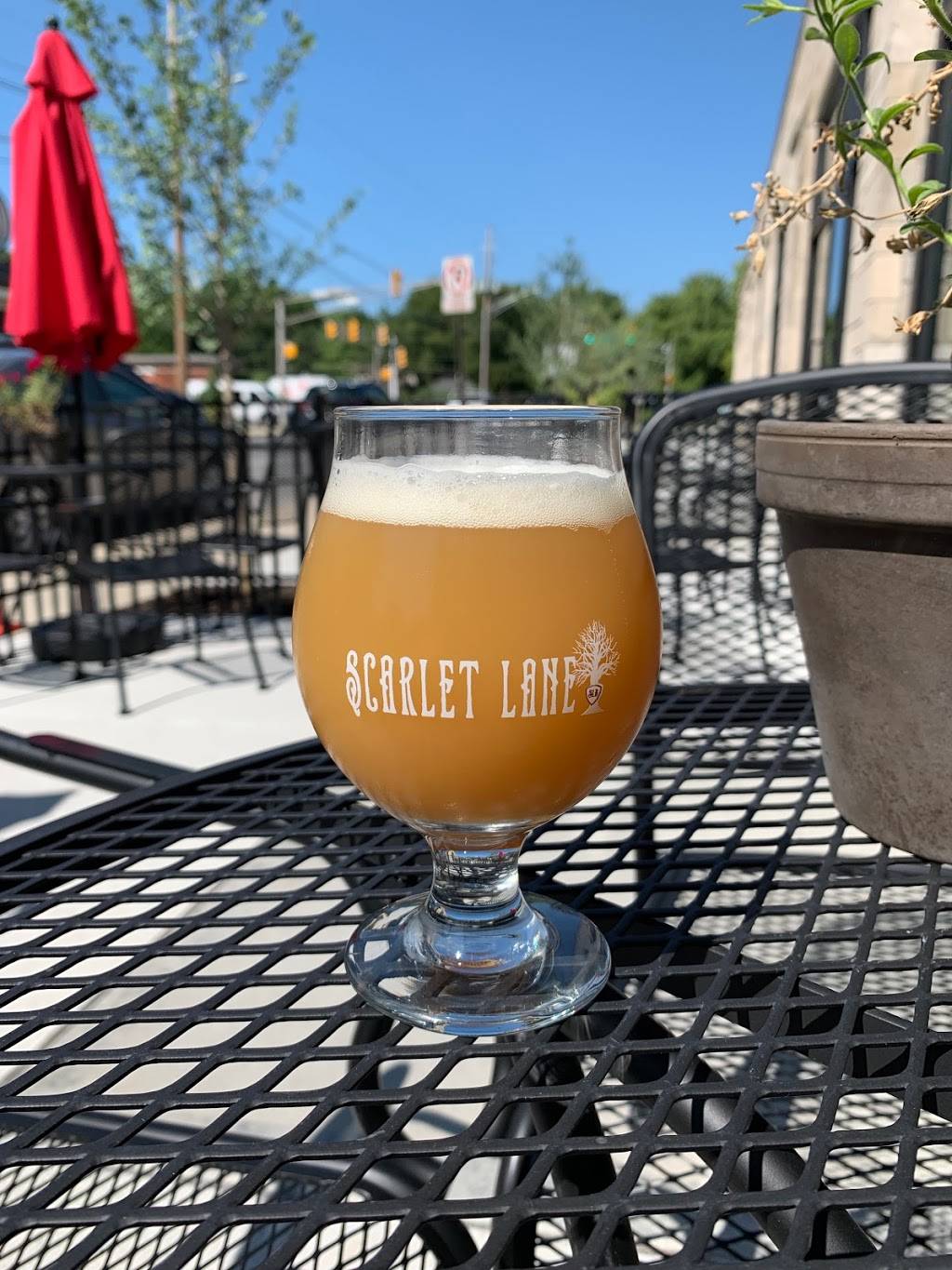 Scarlet Lane Brewing SoBro Tap House | restaurant | 4601 N College Ave unit c, Indianapolis, IN 46205, USA | 3179866125 OR +1 317-986-6125