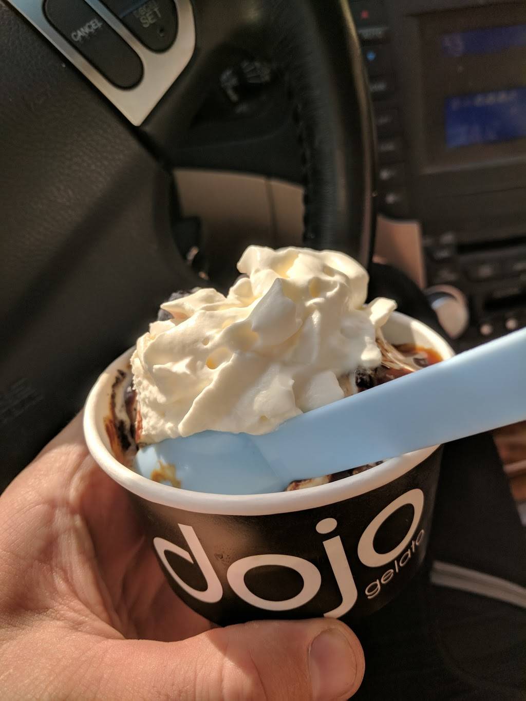 Dojo Gelato | cafe | 1735 Blue Rock St, Cincinnati, OH 45223, USA | 5133289000 OR +1 513-328-9000