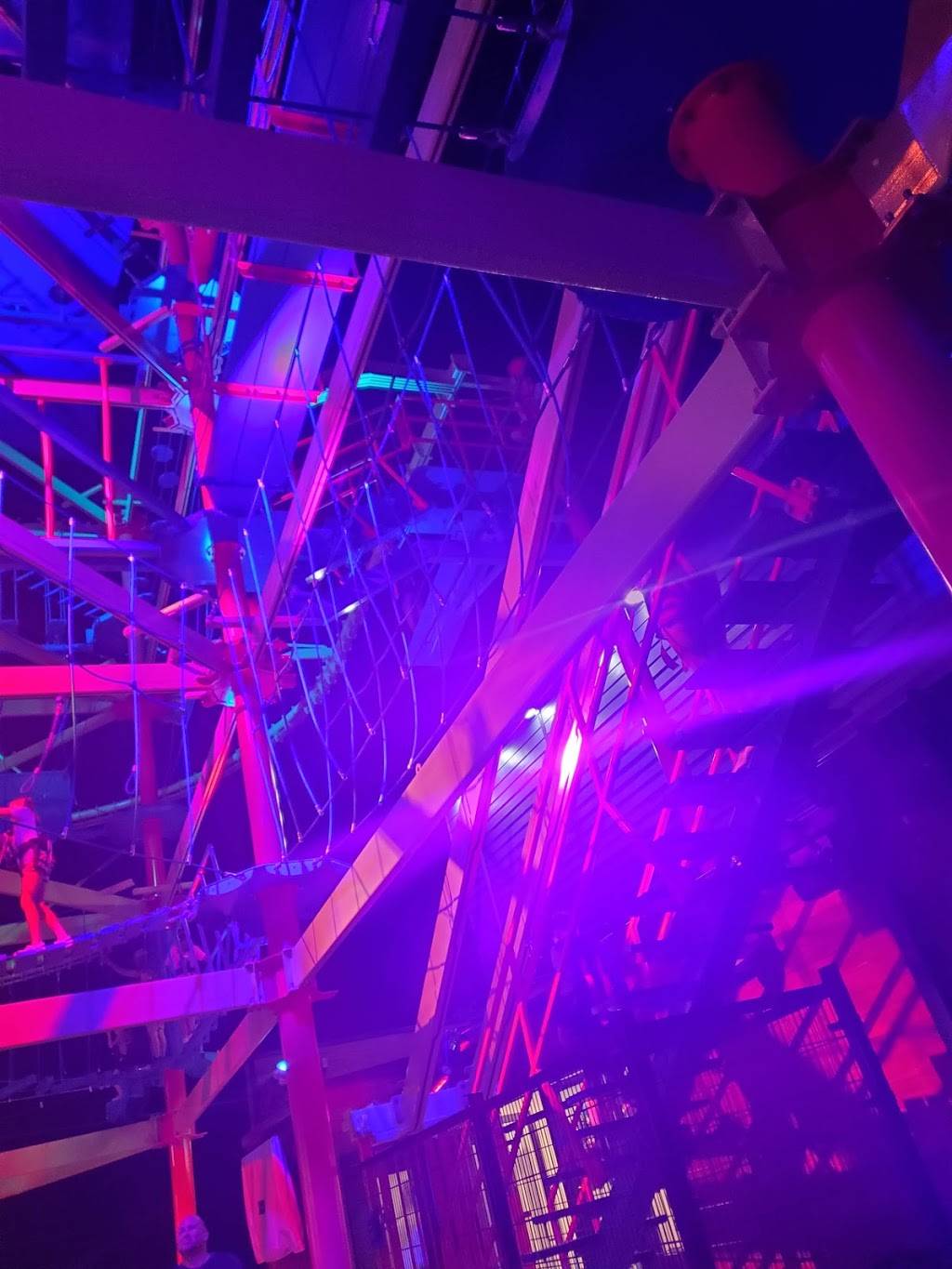 The Malted Monkey | restaurant | 1345 Bagnell Dam Blvd, Lake Ozark, MO 65049, USA | 5736939792 OR +1 573-693-9792