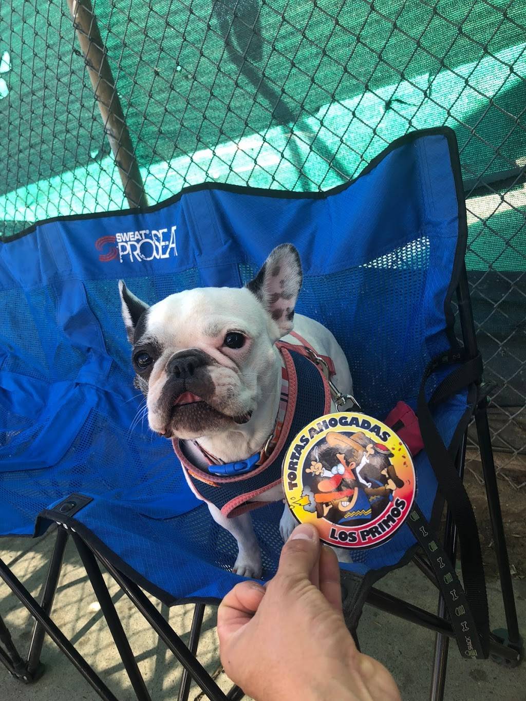 Tortas ahogadas los primos | restaurant | 2856, 2301 W 5th St, Santa Ana, CA 92703, USA | 7144885609 OR +1 714-488-5609