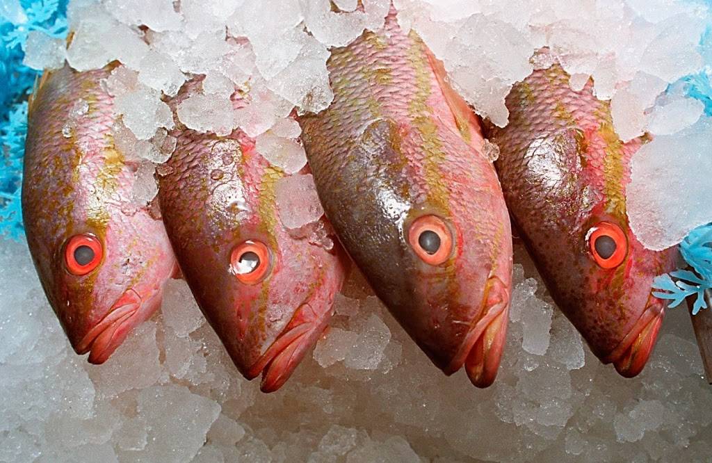 Locale Market | cafe | 179 2nd Ave N, St. Petersburg, FL 33701, USA | 7275236300 OR +1 727-523-6300