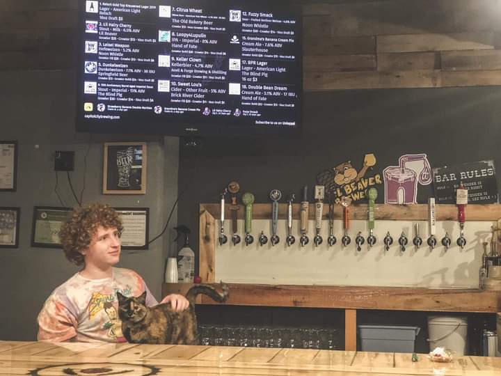 Capitol City Brewing Supply | restaurant | 3351 S 6th St #4, Springfield, IL 62703, USA | 2176794665 OR +1 217-679-4665