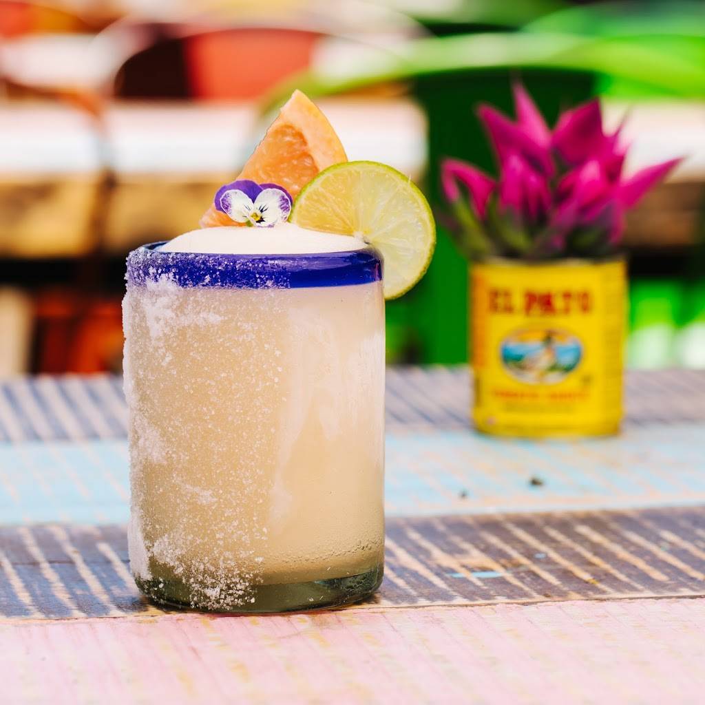 Wild Salsa | restaurant | 300 Throckmorton St, Fort Worth, TX 76102, USA | 6823163230 OR +1 682-316-3230