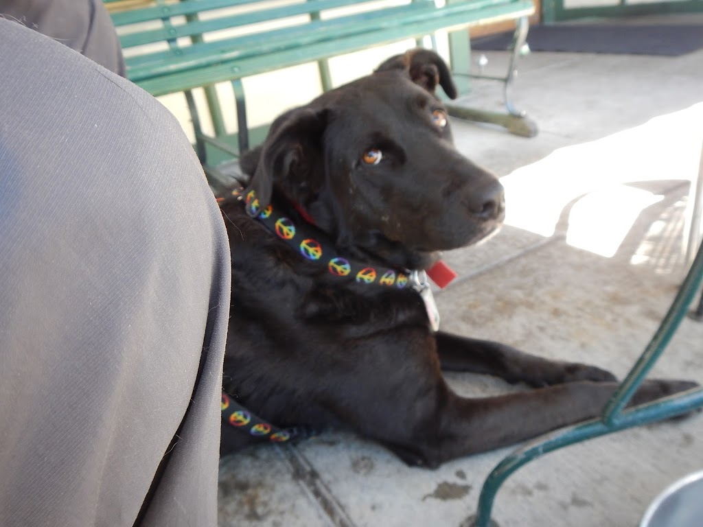 Ancient Way Cafe, El Morro RV Park & Cabins | cafe | 4018 Ice Caves Rd Hwy53, Ramah, NM 87321, USA | 5057834612 OR +1 505-783-4612