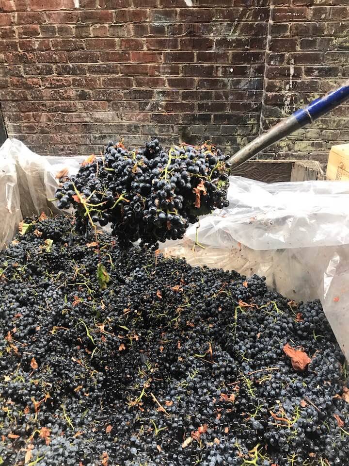 Revel OTR Urban Winery | restaurant | 111 E 12th St, Cincinnati, OH 45202, USA | 5135799463 OR +1 513-579-9463