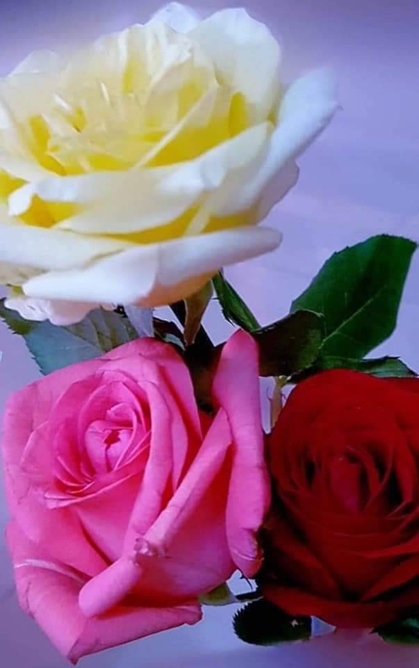 Panadería y restaurante Chapines | restaurant | 1520 W 7th St, Los Angeles, CA 90017, USA | 2134830656 OR +1 213-483-0656