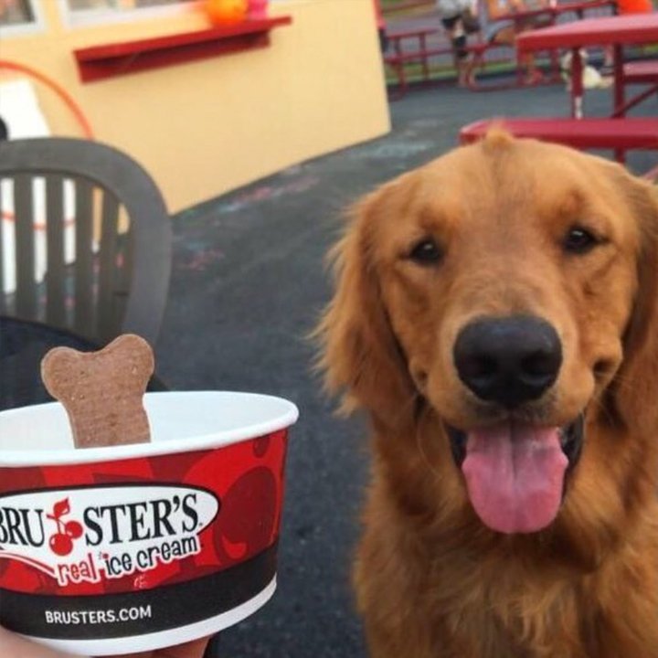 Brusters Real Ice Cream | bakery | 6613 Watts Rd, Haymarket, VA 20169, USA | 7038959009 OR +1 703-895-9009