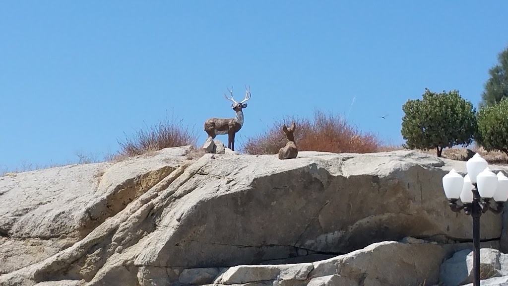 Shell | restaurant | 29477 Auberry Rd, Prather, CA 93651, USA | 5598558800 OR +1 559-855-8800