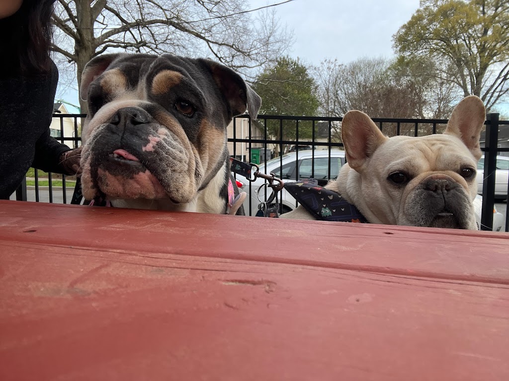 Bloom & Bottle | restaurant | 1035 Harrill St, Charlotte, NC 28205, USA | 7049667297 OR +1 704-966-7297