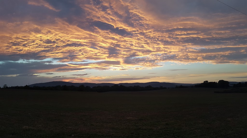 Ernst Market | restaurant | 11650 Dam Number 5 Rd, Clear Spring, MD 21722, USA | 3018422292 OR +1 301-842-2292