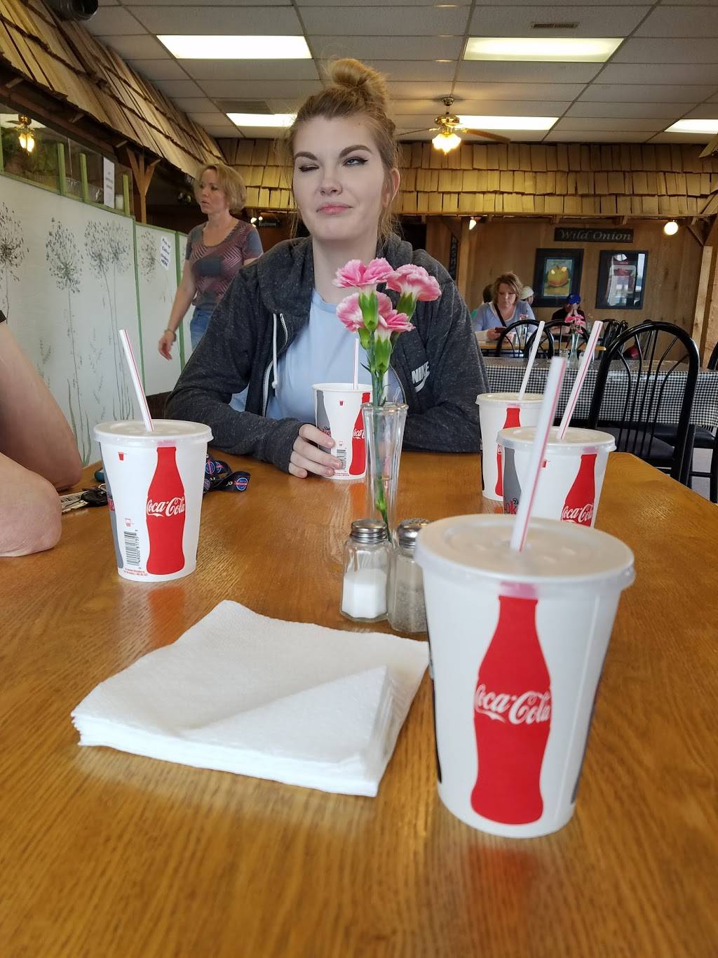 Wild Onion | restaurant | 1830 E 9th St, Trenton, MO 64683, USA | 6603593050 OR +1 660-359-3050