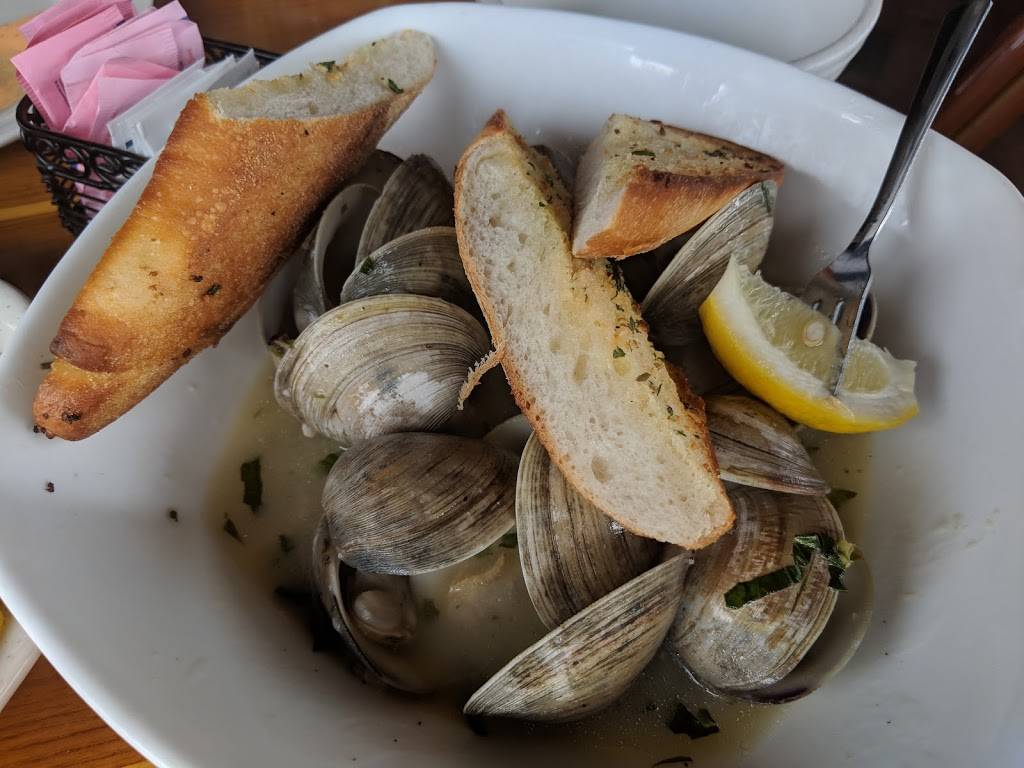 Blue Water Cafe | cafe | 11205 Long Beach Blvd, Beach Haven, NJ 08008, USA | 6092071300 OR +1 609-207-1300