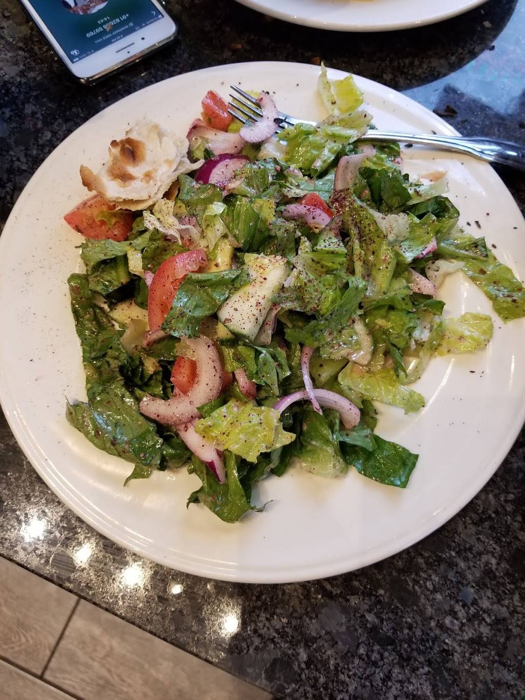 Shish Palace | restaurant | 13277 Michigan Ave, Dearborn, MI 48126, USA | 3134278424 OR +1 313-427-8424