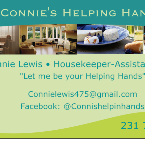 Connieshelpinghands | restaurant | 1140 S Wabash Ave, Chicago, IL 60605, USA | 2317406654 OR +1 231-740-6654