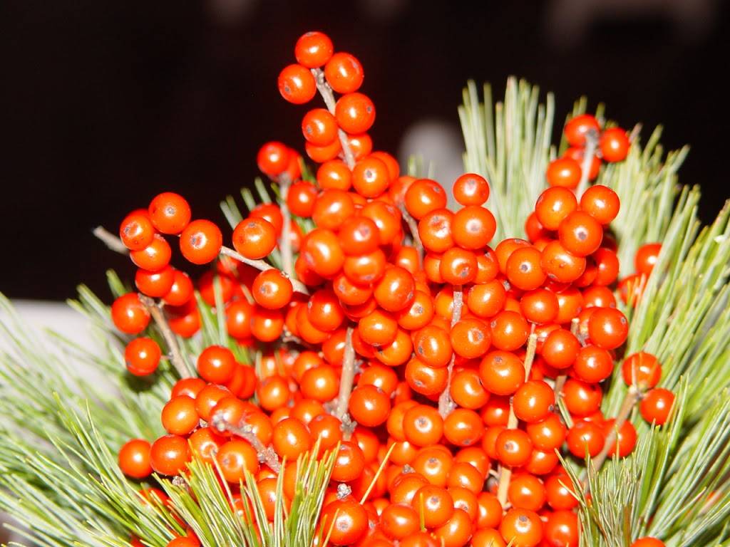 Christophers Cafe & Catering | restaurant | 4807, 2 Lewis St, Lynn, MA 01902, USA | 7815962200 OR +1 781-596-2200