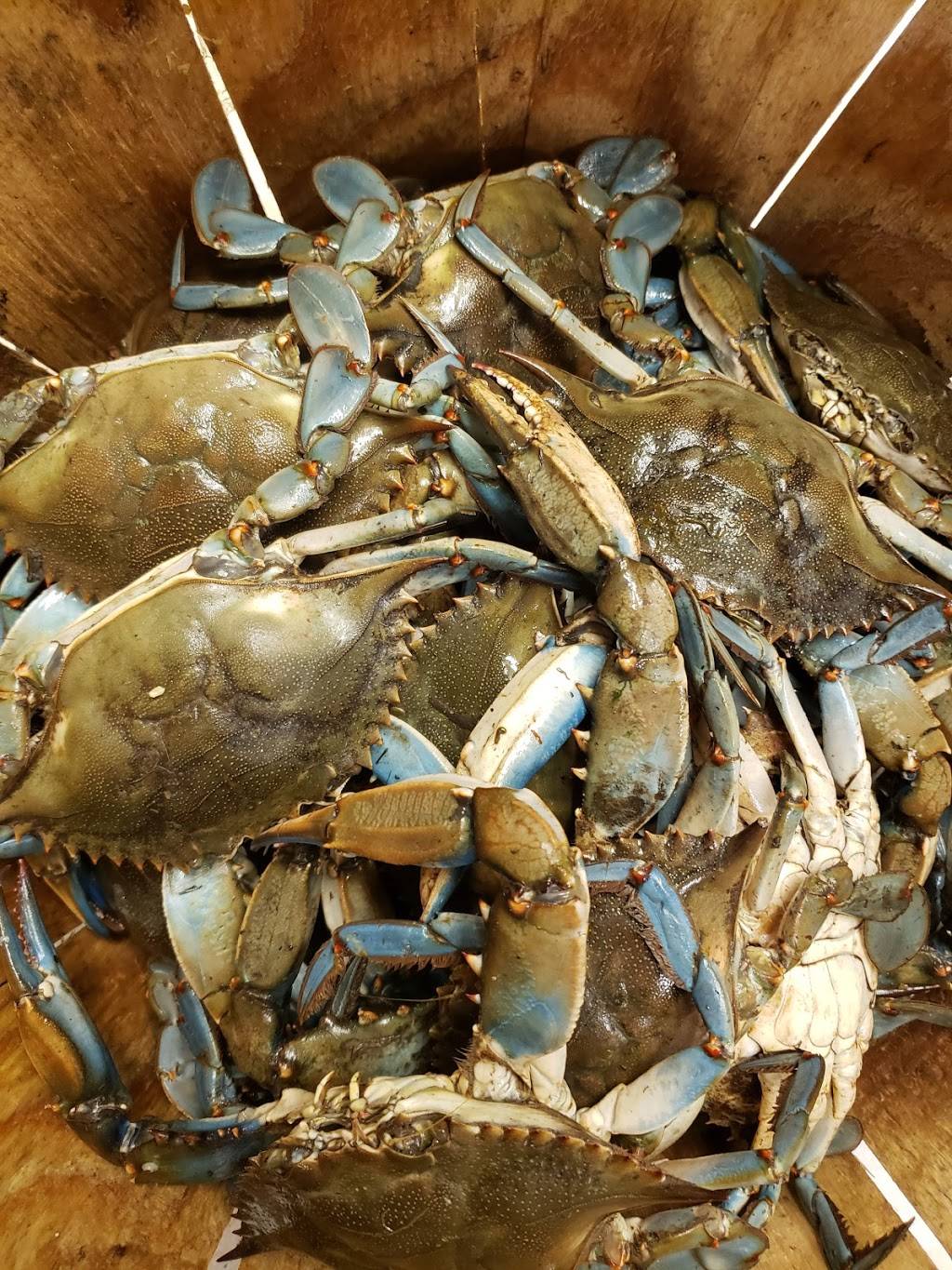 Ocean World Seafood | restaurant | 4814 Government Rd, Richmond, VA 23231, USA | 8042221124 OR +1 804-222-1124