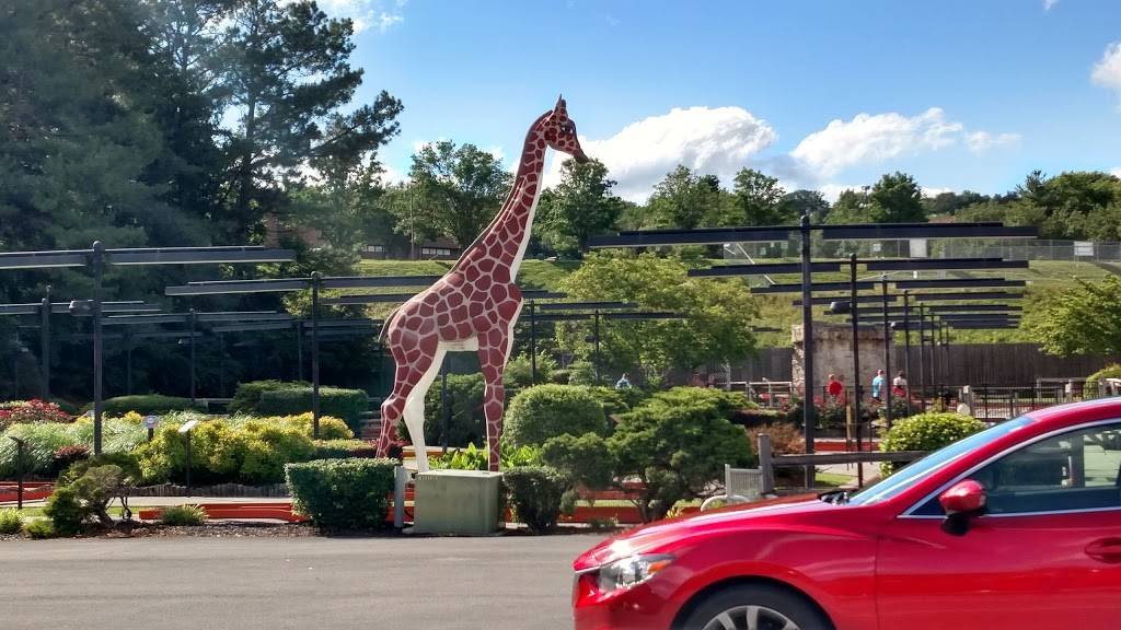 Putt-Putt Golf & Games | meal takeaway | 164 West End Ave, Knoxville, TN 37934, USA | 8656755558 OR +1 865-675-5558